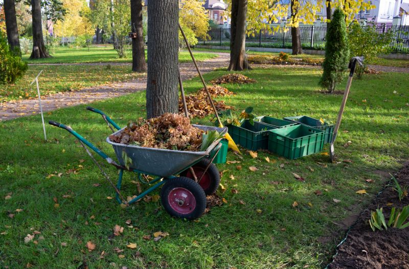 Lake Lot Clearing in Salt Lake City, UT